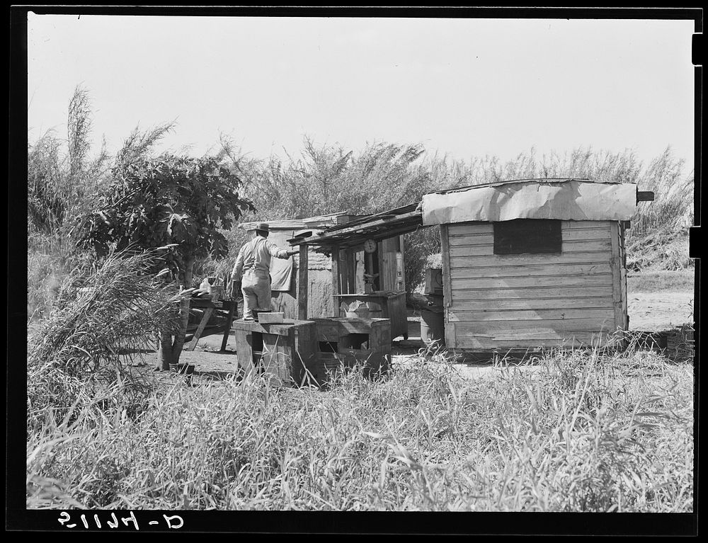 Fish store for migratory vegetable pickers near Lake Harbor, Florida. Sourced from the Library of Congress.