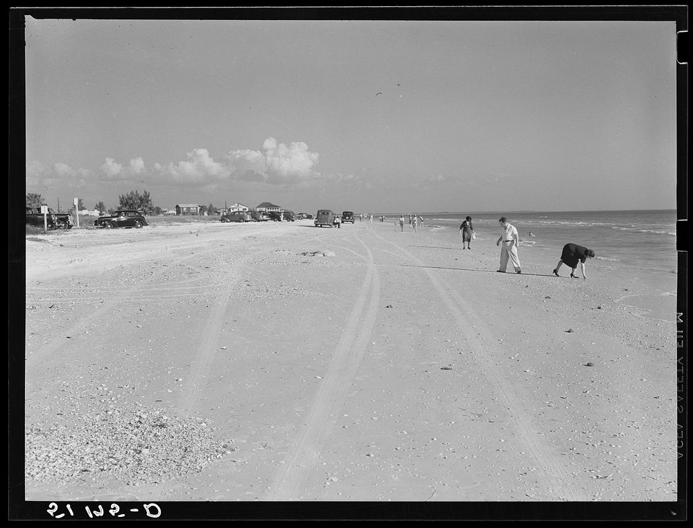 Beach on West coast of Florida, near Tampa. Sourced from the Library of Congress.