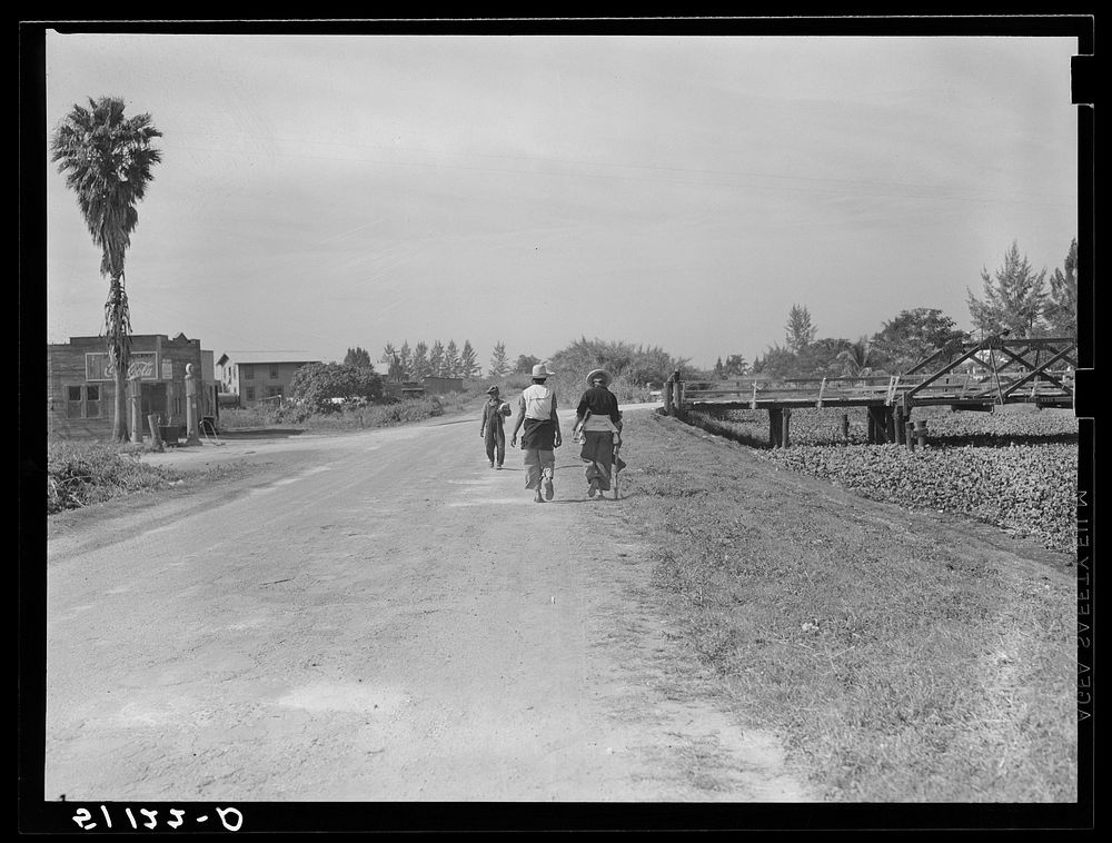 Migrant vegetable pickers and packing houseworkers returning from work. Belle Glade, Florida. Sourced from the Library of…