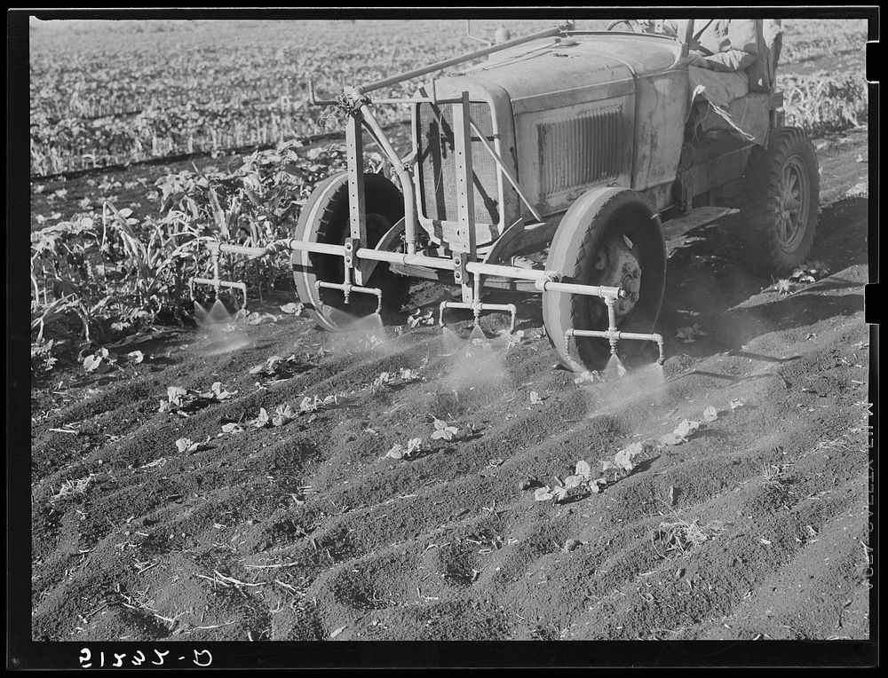 [Untitled photo, possibly related to: Tractor with bean planter and fertilizer used on large flat muck farm land, about 2000…