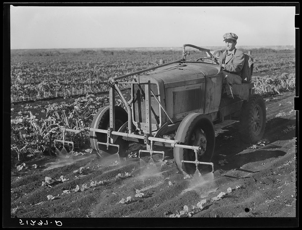 [Untitled photo, possibly related to: Tractor with bean planter and fertilizer used on large flat muck farm land, about 2000…