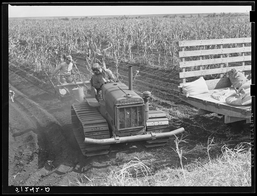 Tractor-driven combination bean planter and fertilizer used on large tracts of farmlands around Lake Okeechobee, Florida.…