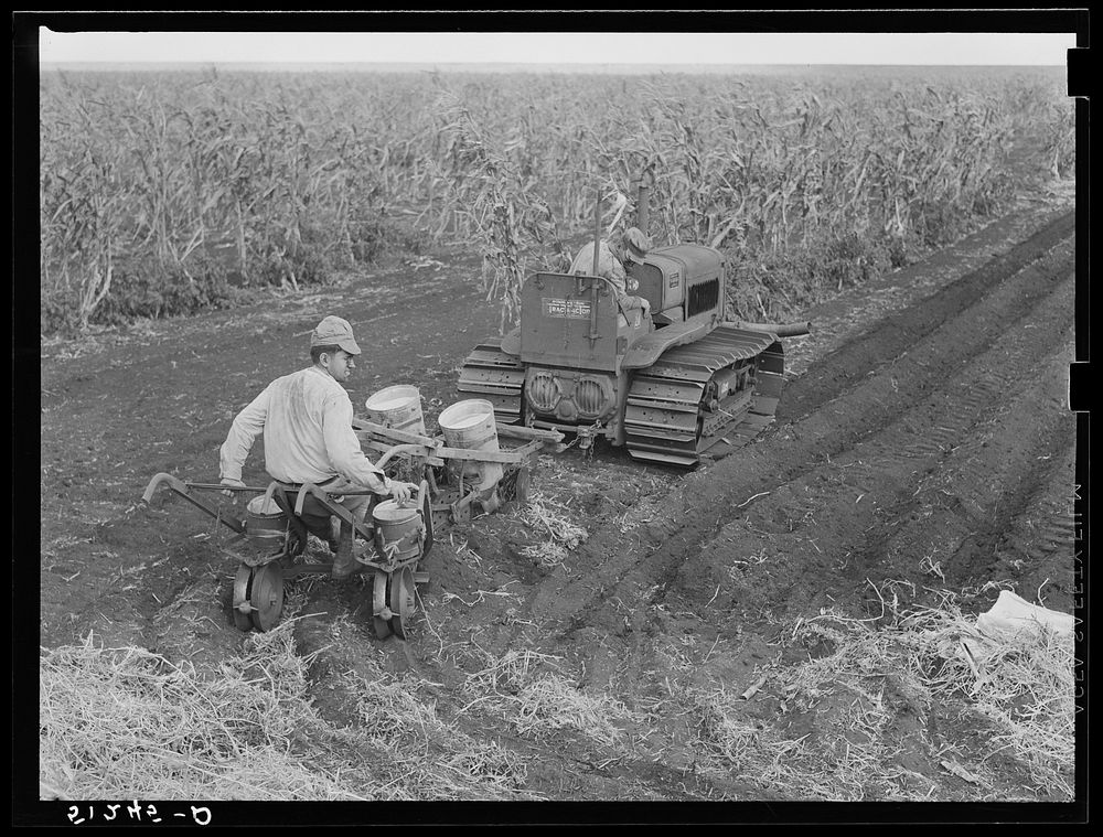 Tractor-driven combination bean planter and fertilizer used on large tracts of farmlands around Lake Okeechobee and…