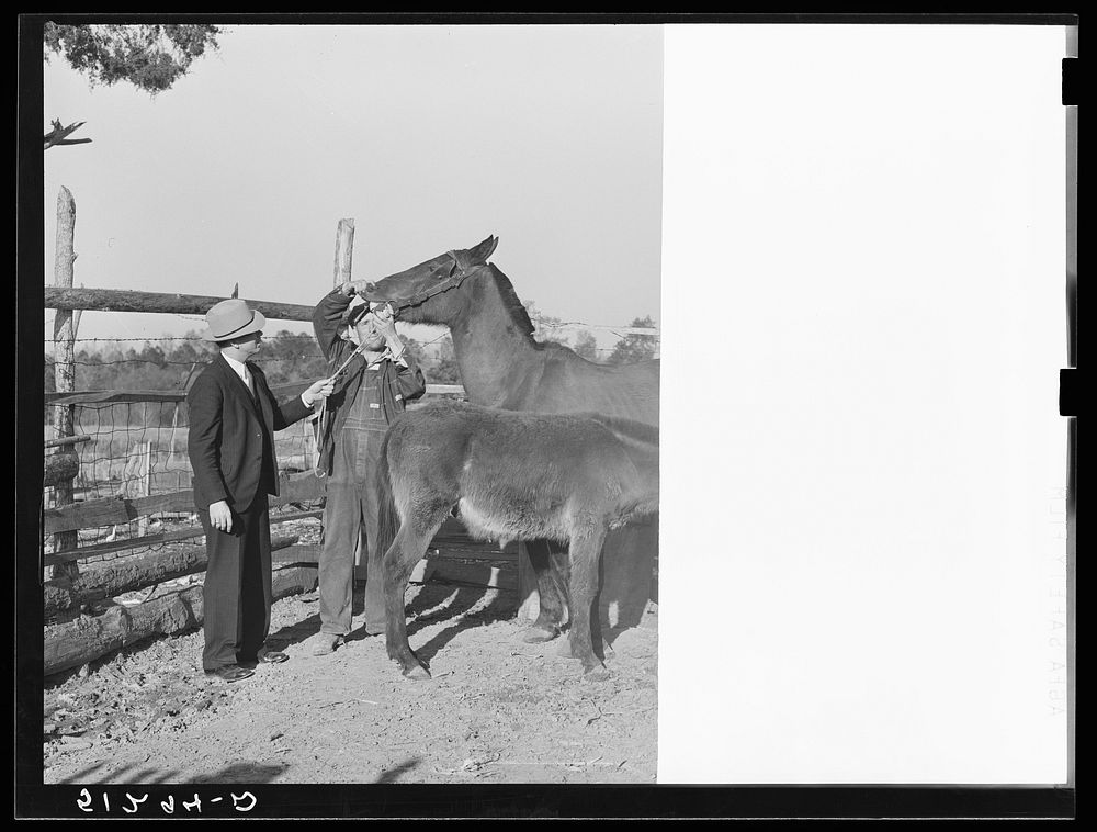 FSA (Farm Security Administration) supervisor and client. Pike County, Alabama. Sourced from the Library of Congress.
