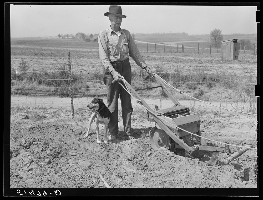 Mr. Watkins with peanut planter and dog. Coffee County, Alabama. Sourced from the Library of Congress.