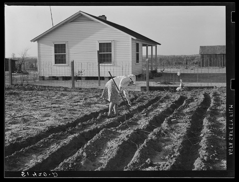 Spring planting in a project garden. Coffee County, Alabama. Sourced from the Library of Congress.