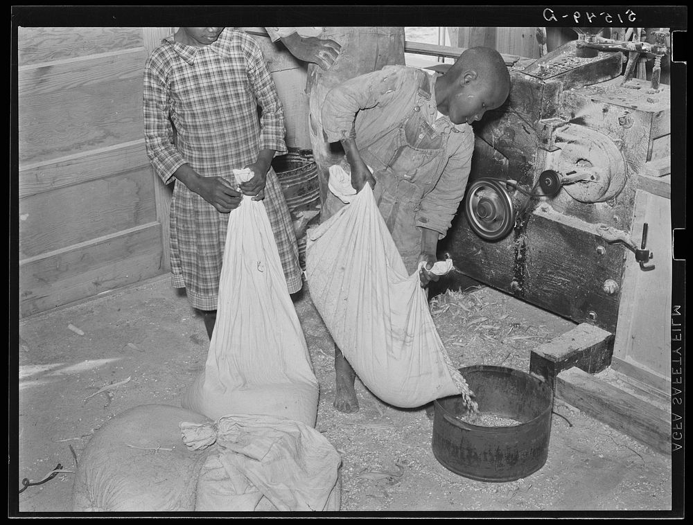 Boy pouring his corn for grinding into meal at cooperative grist mill. Gee's Bend, Alabama. Sourced from the Library of…