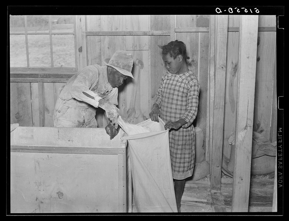 Children of project families often bring the corn to cooperative grist mill for grinding into meal. Gee's Bend, Alabama.…