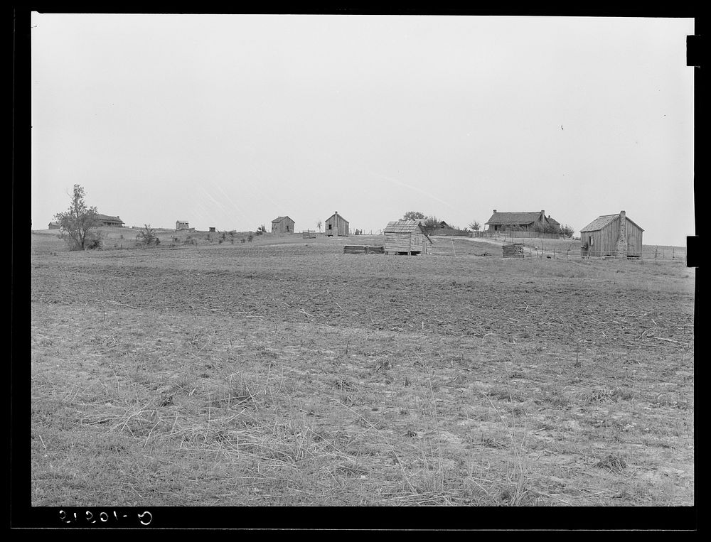 [Untitled photo, possibly related to:  landowners showing some newer, smaller shacks between Montgomery and Camden.…
