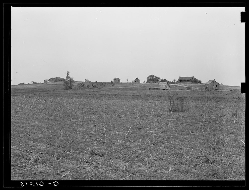  landowners showing some newer, smaller shacks between Montgomery and Camden. Alabama. Sourced from the Library of Congress.