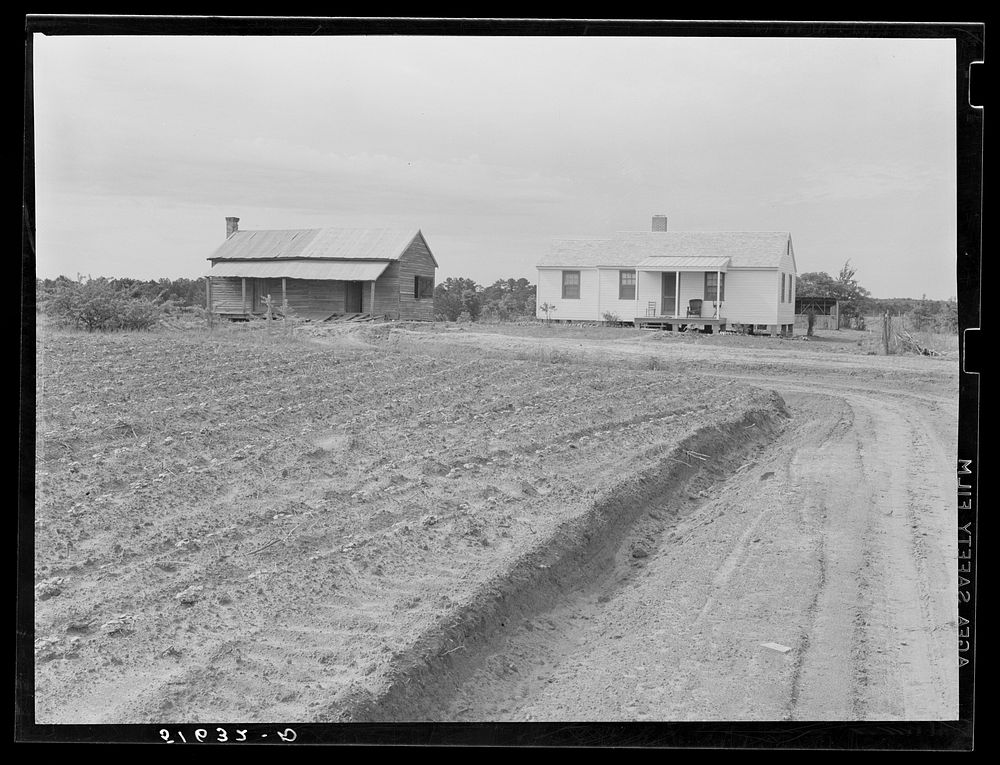 Old house and new one, with cotton coming up in foreground. Flint River Farms, Georgia. Sourced from the Library of Congress.