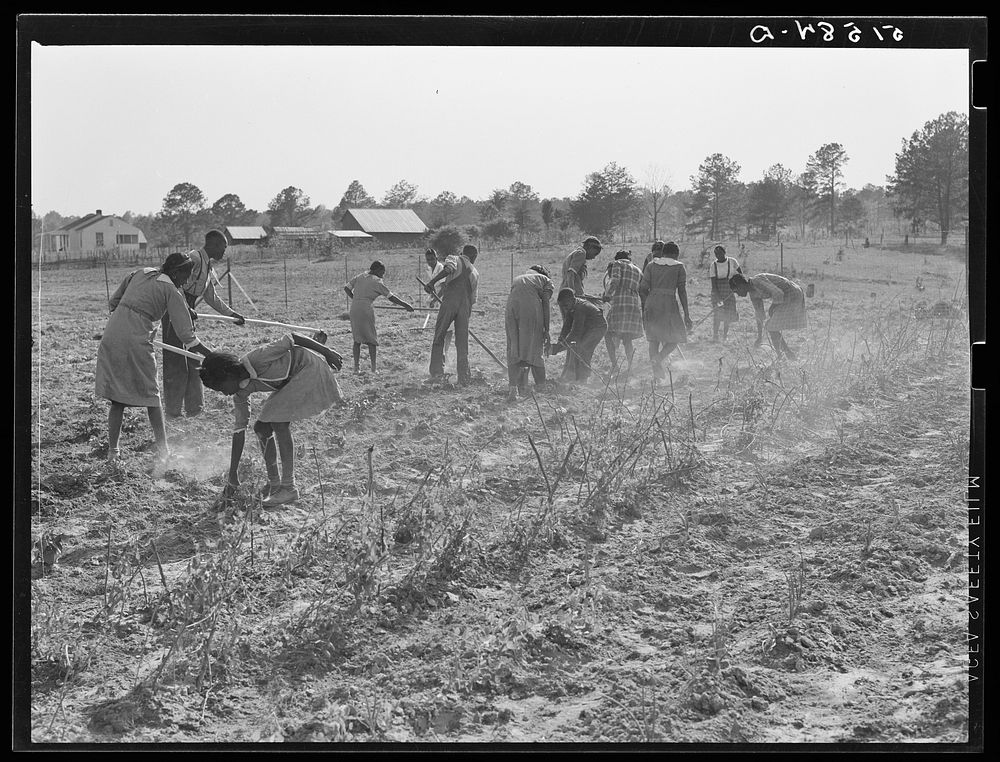 School garden. Gee's Bend, Alabama. Sourced from the Library of Congress.