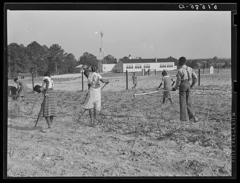 School garden. Gee's Bend, Alabama. Sourced from the Library of Congress.