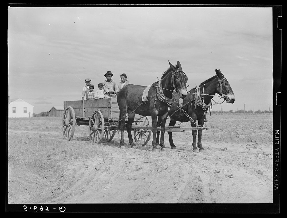 Ben Turner and family in their wagon with mule team. Flint River Farms, Georgia. Sourced from the Library of Congress.