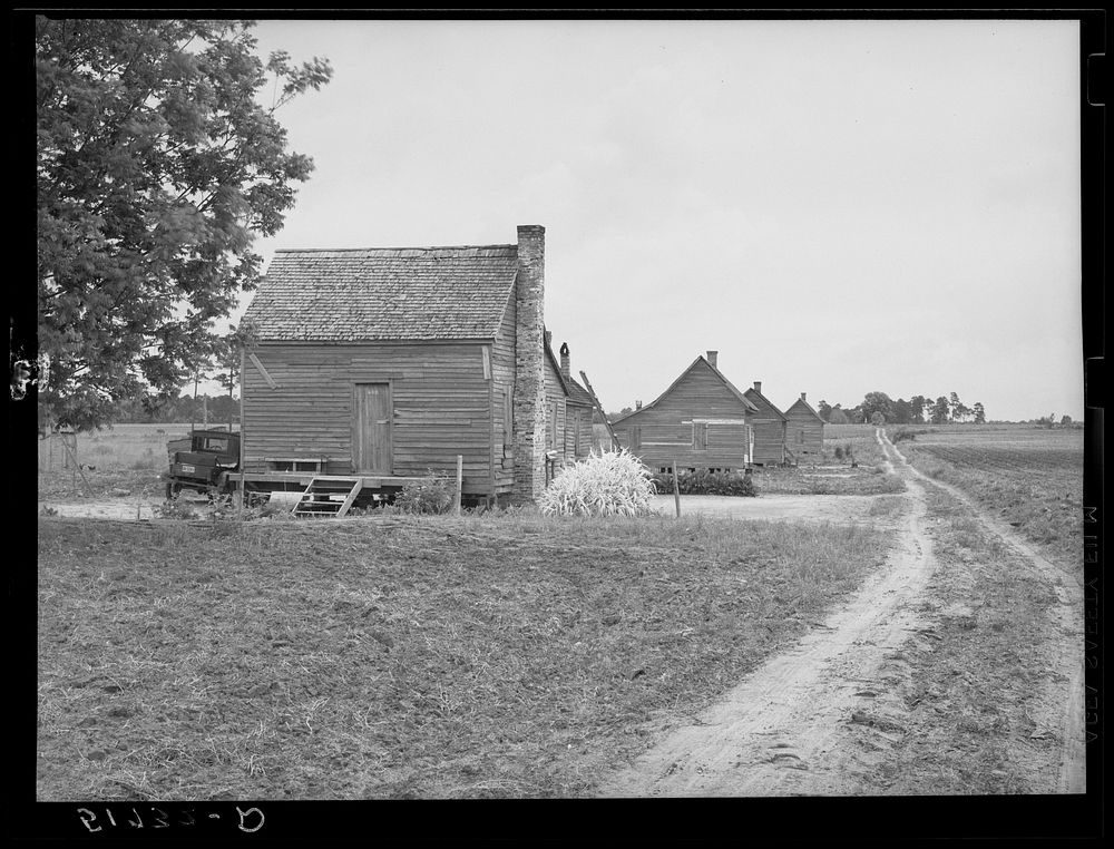 Row of tenant houses on plantation near Montezuma, Georgia. Sourced from the Library of Congress.