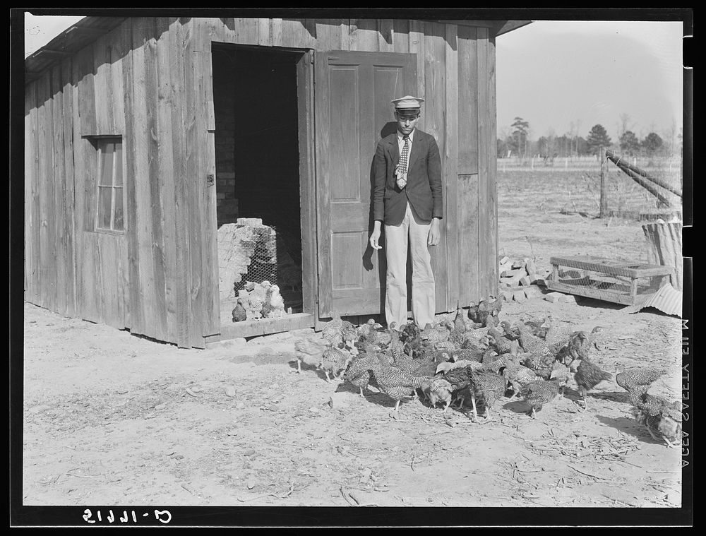 Mrs. Brown's son and some of the chickens he raised. Inside poultry house can be seen part of the brooder he built. Prairie…