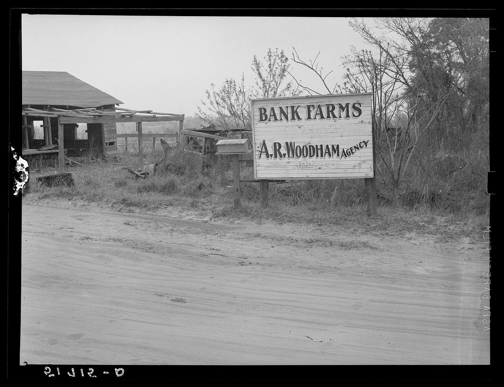 One of many "bank" farms. Coffee County, Alabama. Sourced from the Library of Congress.