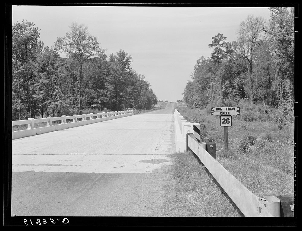 A Georgia road and creek. Sourced from the Library of Congress.
