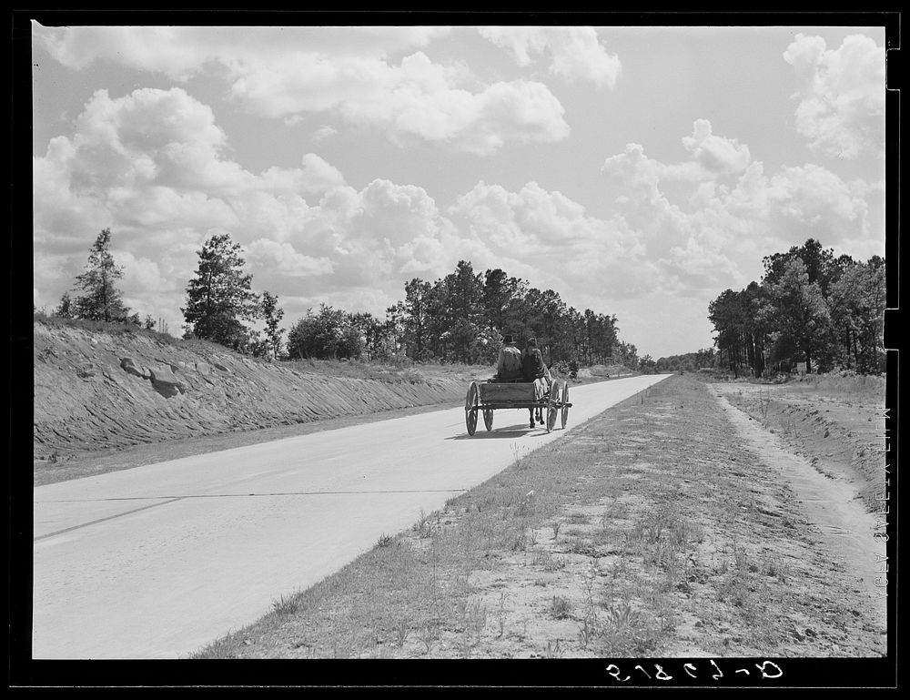 [Untitled photo, possibly related to: Highway near Greensboro, Georgia]. Sourced from the Library of Congress.