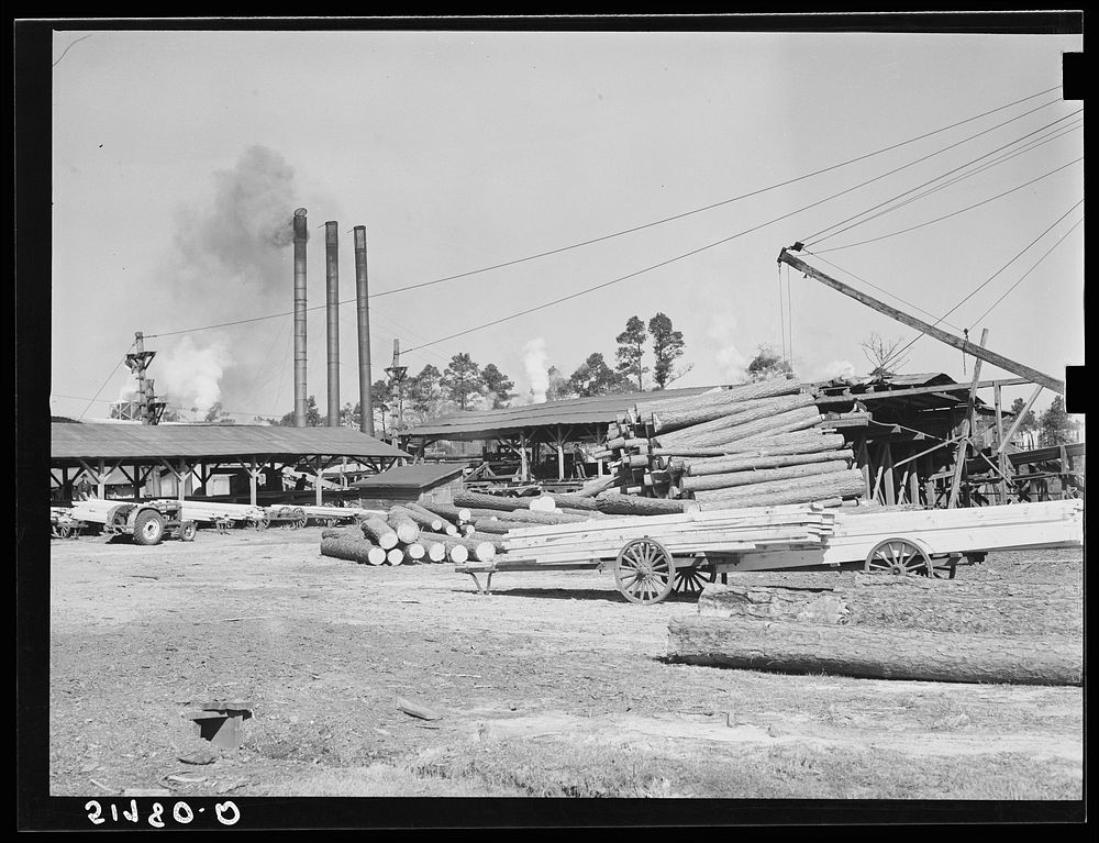 A lumber planing mill. Cairo, Georgia. Sourced from the Library of Congress.