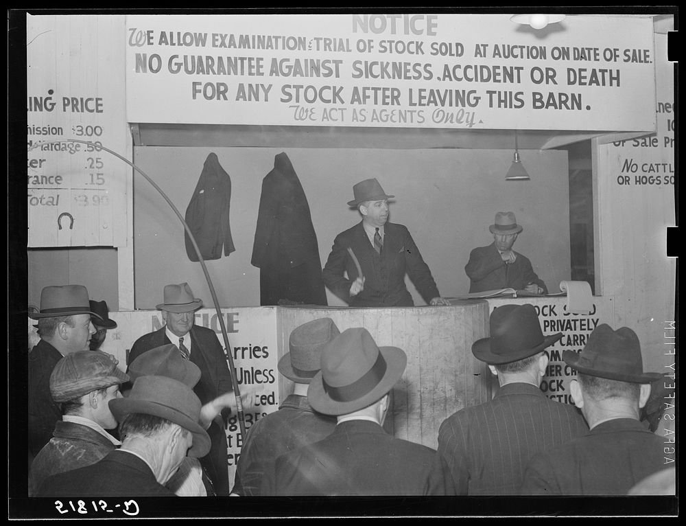 Mule auction in Montgomery, Alabama. Sourced from the Library of Congress.