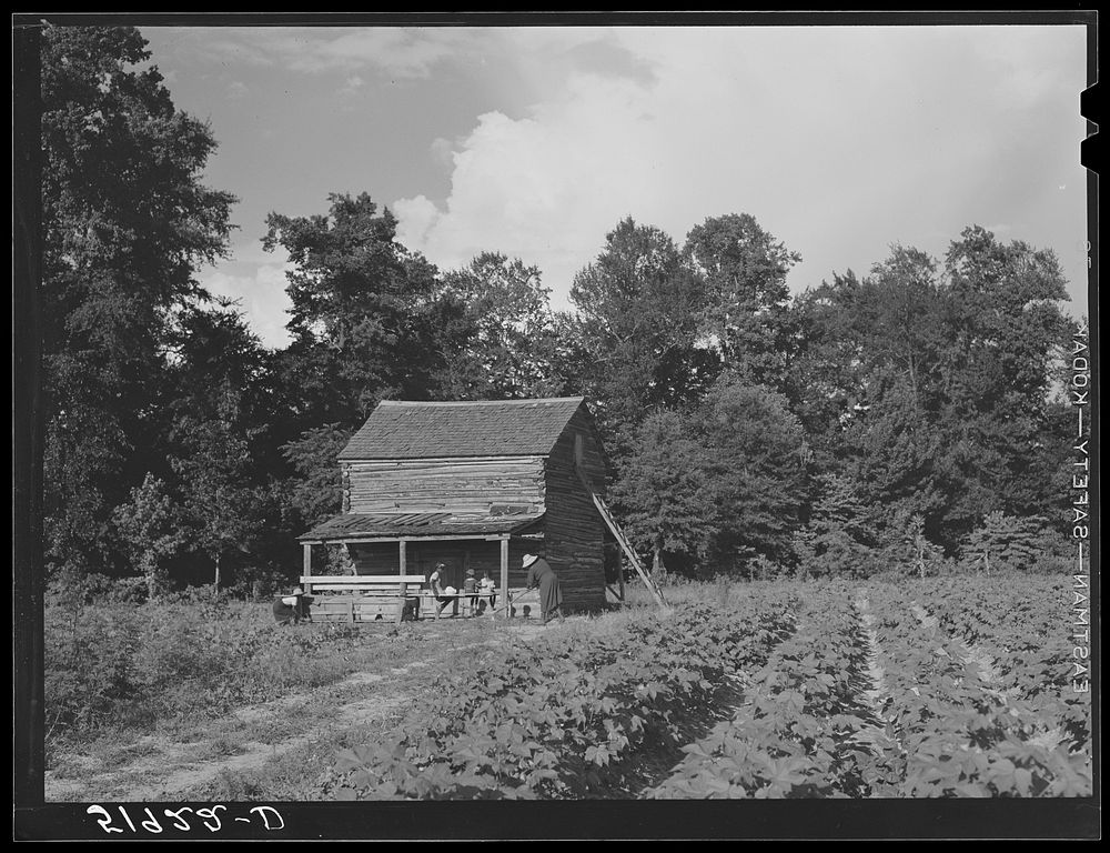 Pauline Clyburn, rehabilitation client, and some of her children at their tobacco barn. Manning, Clarendon County, South…