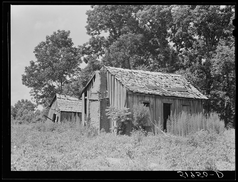 Abandoned shacks near Beaufort, South Carolina. Sourced from the Library of Congress.