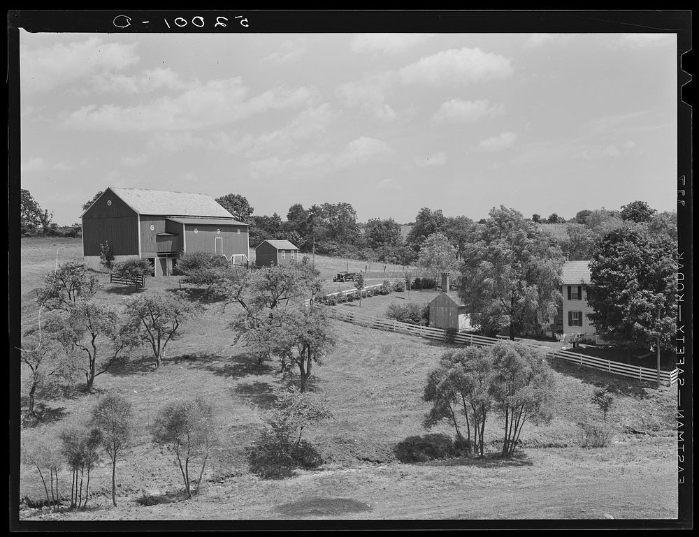 [Untitled photo, possibly related to: Farm in Bucks County, Pennsylvania]. Sourced from the Library of Congress.