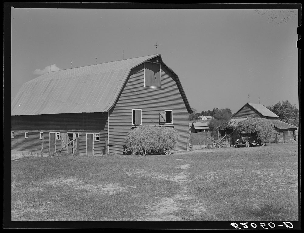 Stock barn with wagon and truck of hay on a very prosperous farm, over 600 acres, belonging to a , B.C. Corbett. This is a…