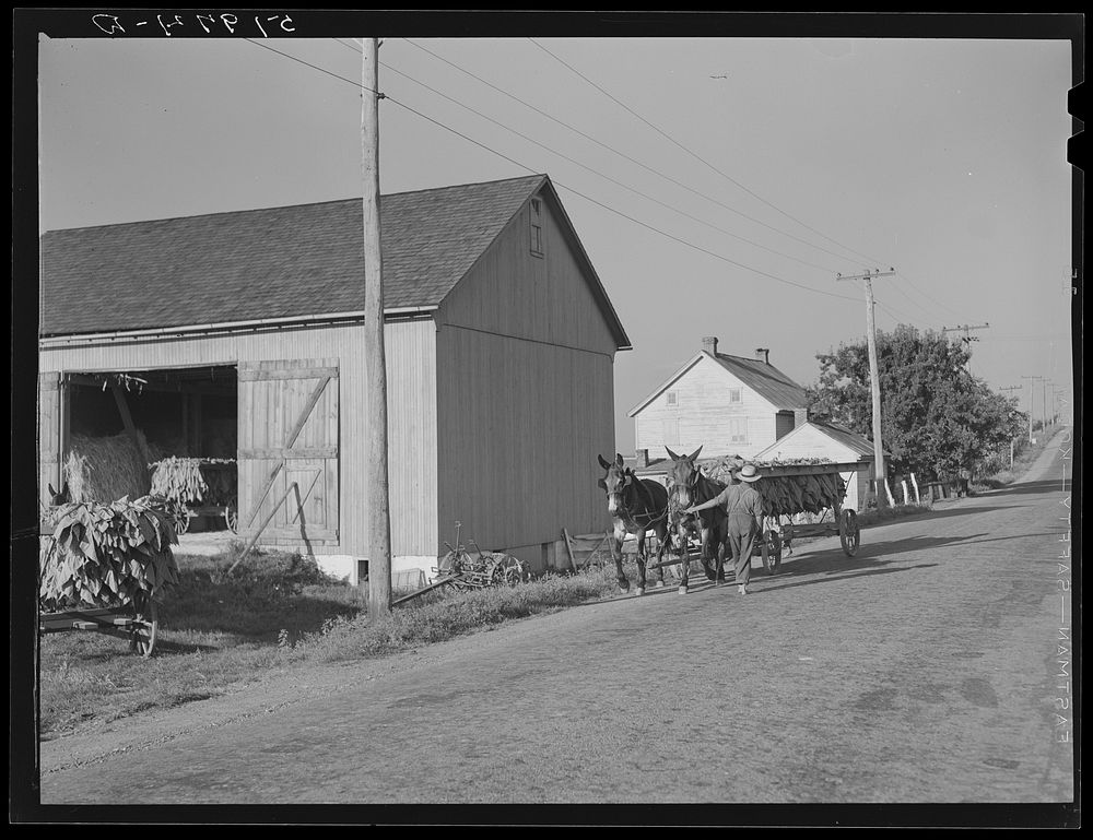 Rich farmland. York County, Pennsylvania. Sourced from the Library of Congress.