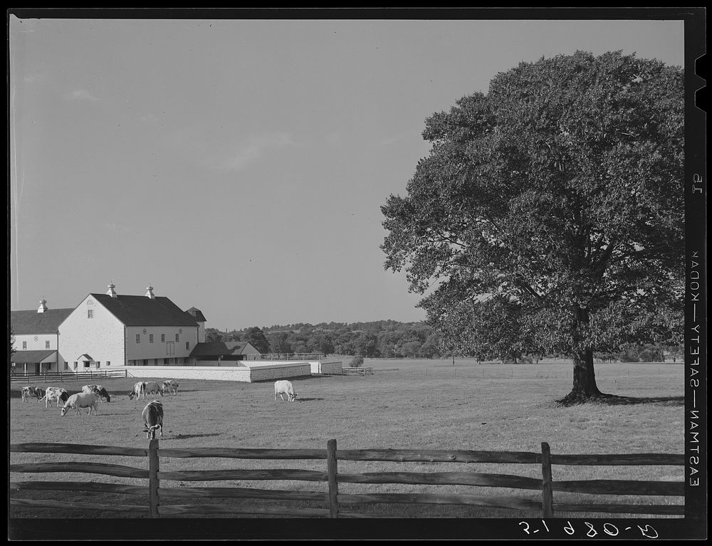 [Untitled photo, possibly related to: Rich farmland. Lancaster County, Pennsylvania]. Sourced from the Library of Congress.