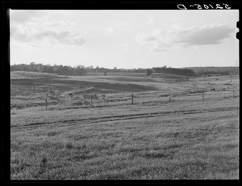 [Untitled photo, possibly related to: Terraced pastures, three small farms treated as unit for the purpose. Owners are…
