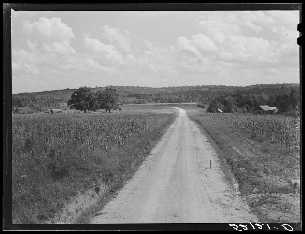 [Untitled photo, possibly related to: General landscape and road. Wake County, North Carolina]. Sourced from the Library of…
