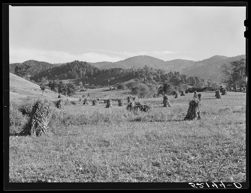 General landscape near Black Mountain, North Carolina. Sourced from the Library of Congress.