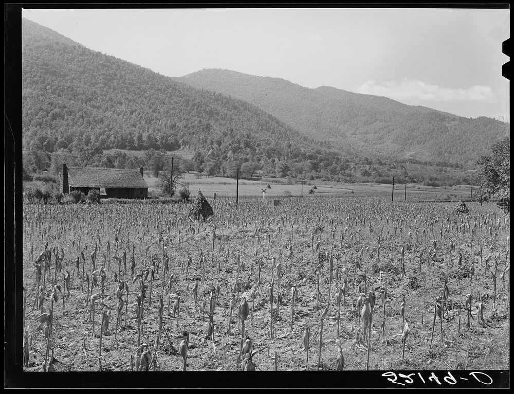 General landscape near Asheville, North Carolina. Sourced from the Library of Congress.