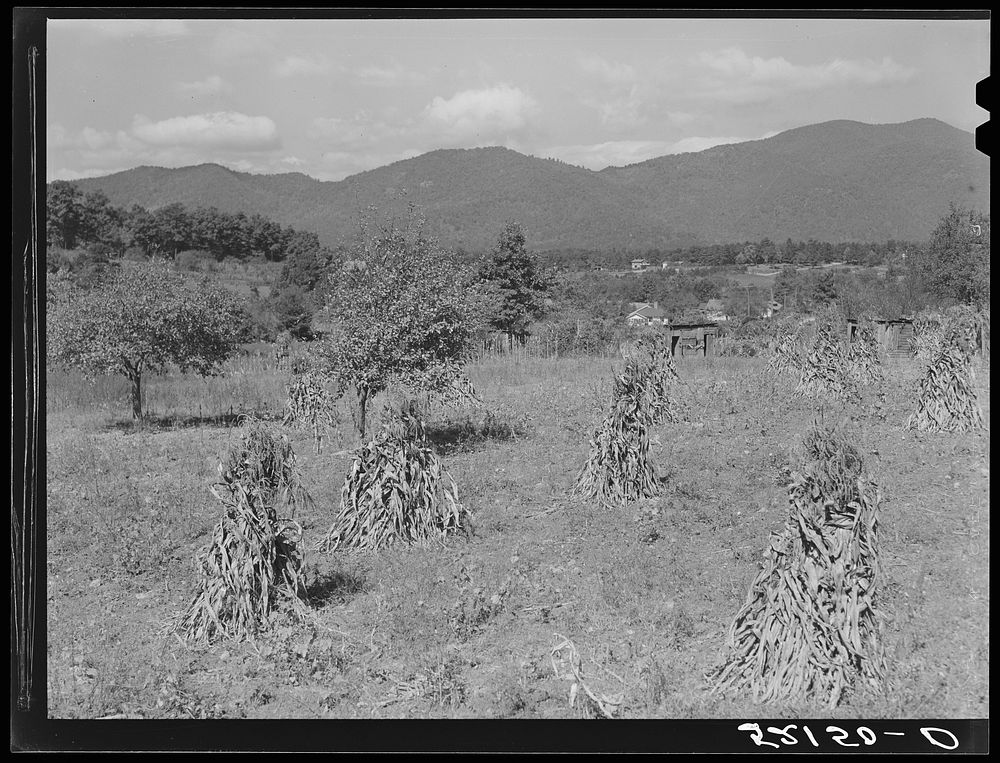 General landscape near Black Mountain, North Carolina. Sourced from the Library of Congress.