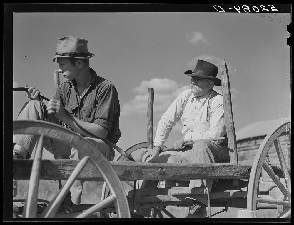 John D. Ferguson and son. Java, Virginia. Near Chatham off Route 57, Pittsylvania County. Refer to caption 52087-D. Sourced…