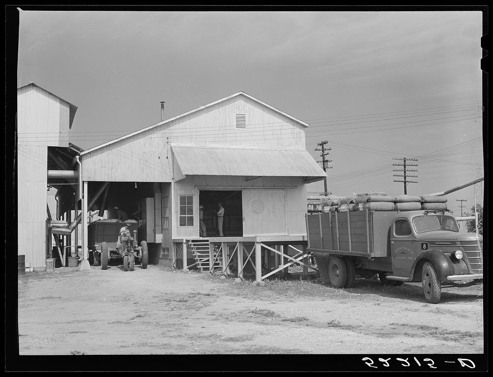 Modern gin with tractor-pulled truck of cotton and motor truck with baled cotton. Hopson Plantation near Mississippi Delta.…