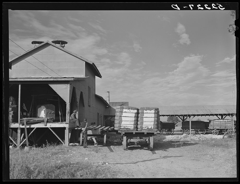 Gin with bales of cotton on truck. Knowlton Plantation, Perthshire, Mississippi Delta, Mississippi. Sourced from the Library…