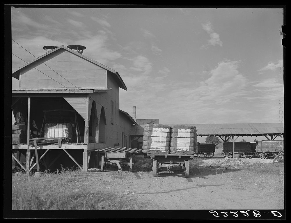 [Untitled photo, possibly related to: Gin with bales of cotton on truck. Knowlton Plantation, Perthshire, Mississippi Delta…