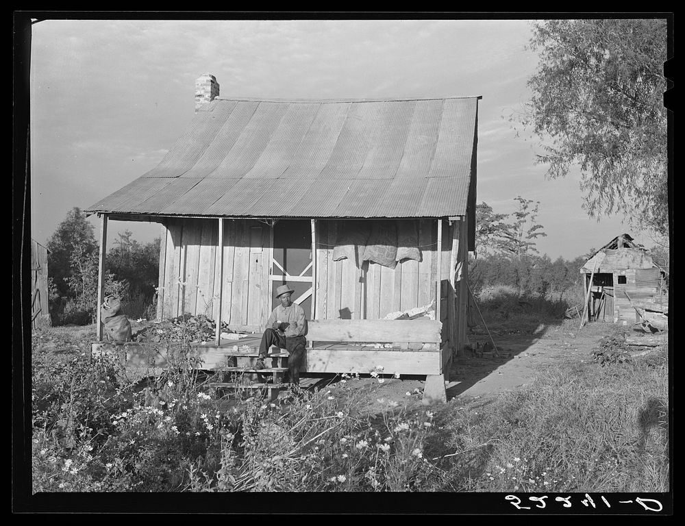 One of the tenant's houses with sweet potatoes and cotton on the porch. Knowlton Plantation, Perthshire, Mississippi Delta…