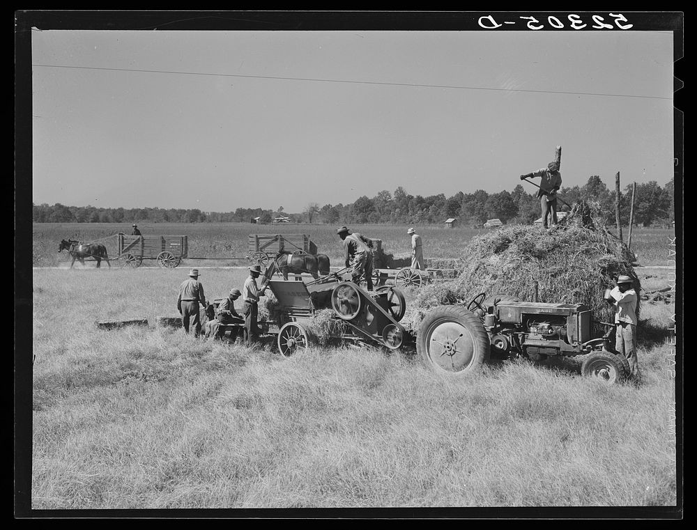 Baling hay. Marcella Plantation, Mileston, Mississippi Delta, Mississippi. Sourced from the Library of Congress.