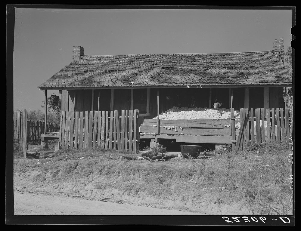 Cotton on front porch of tenant's home being stored until they get a bale to take to the gin. Mississippi. Sourced from the…