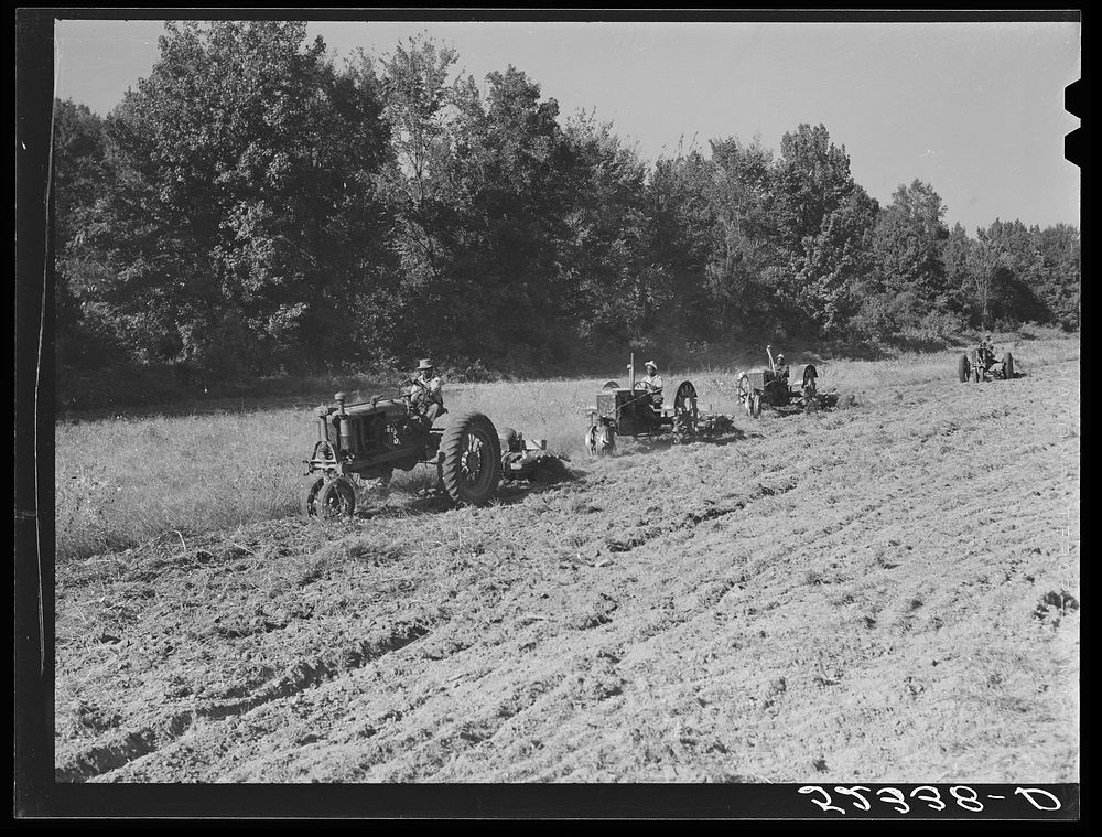 Tractors preparing land for planting oats in the fall after the cotton has been picked and the stalks plowed. Good Hope…
