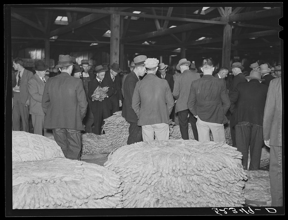 Auction sale in tobacco warehouse. Durham, North Carolina. Sourced from the Library of Congress.