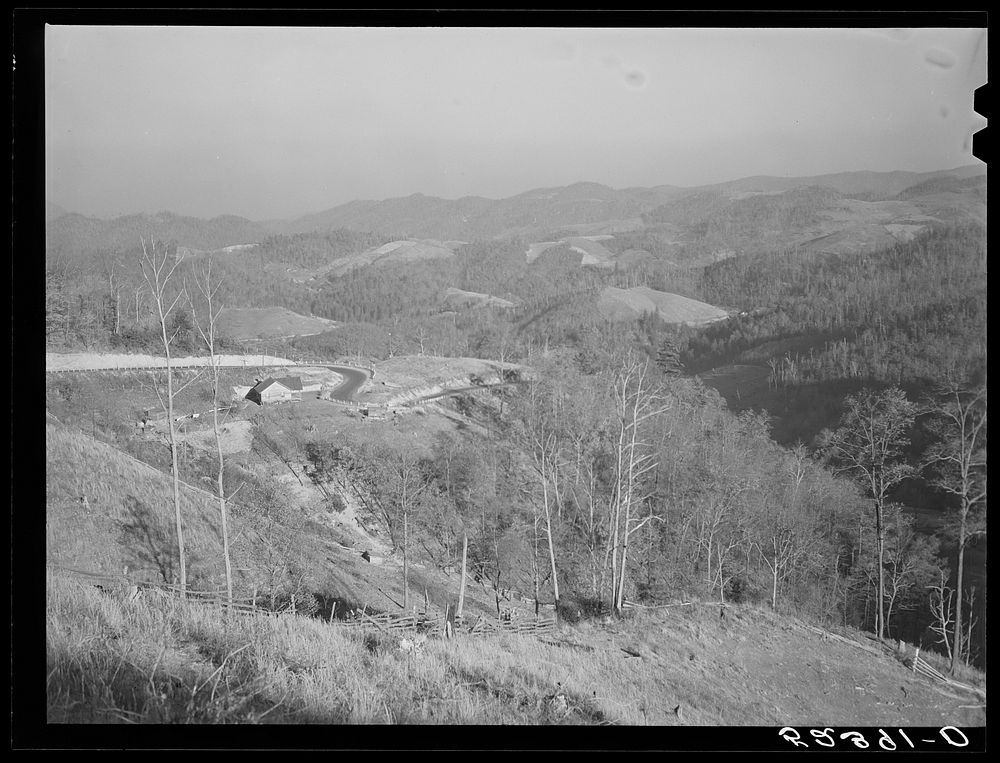 [Untitled photo, possibly related to: Town in Watauga County, North Carolina]. Sourced from the Library of Congress.