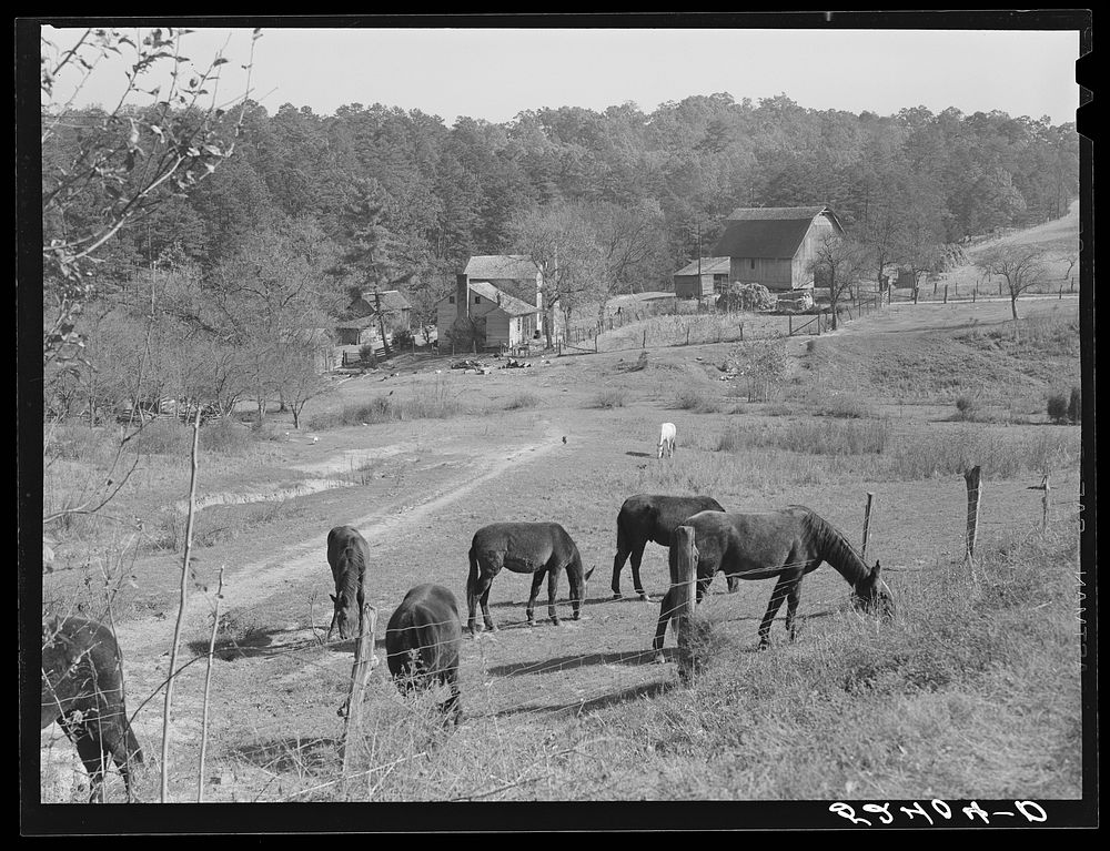 [Untitled photo, possibly related to: General farm scene near Smokey Mountains, Tennessee]. Sourced from the Library of…