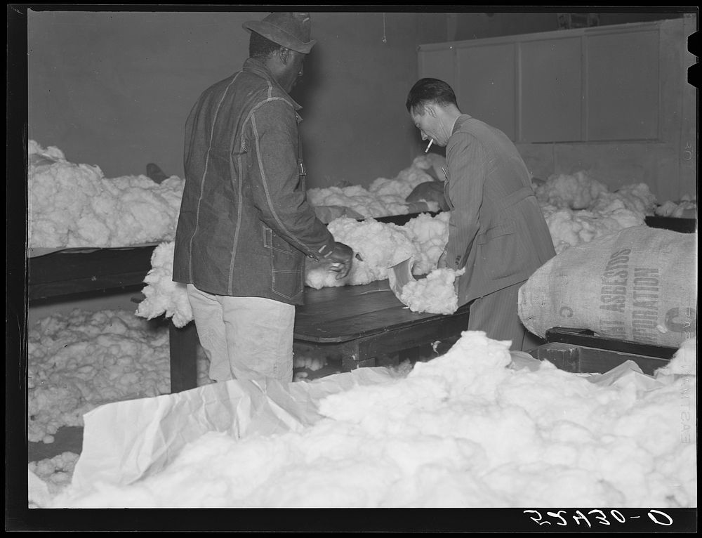 [Untitled photo, possibly related to:  farmer brings his cotton samples to the cotton broker. Clarksdale, Mississippi…
