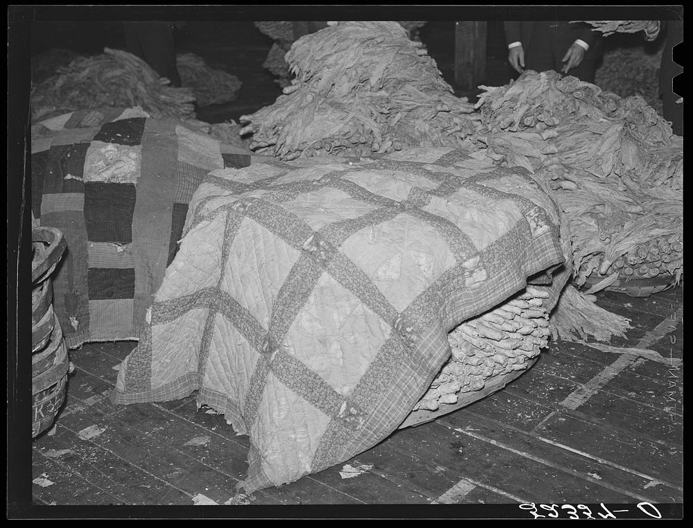 Old quilts and sacks are used to keep tobacco moist and "in order" while waiting for auction sale in warehouse. Durham…