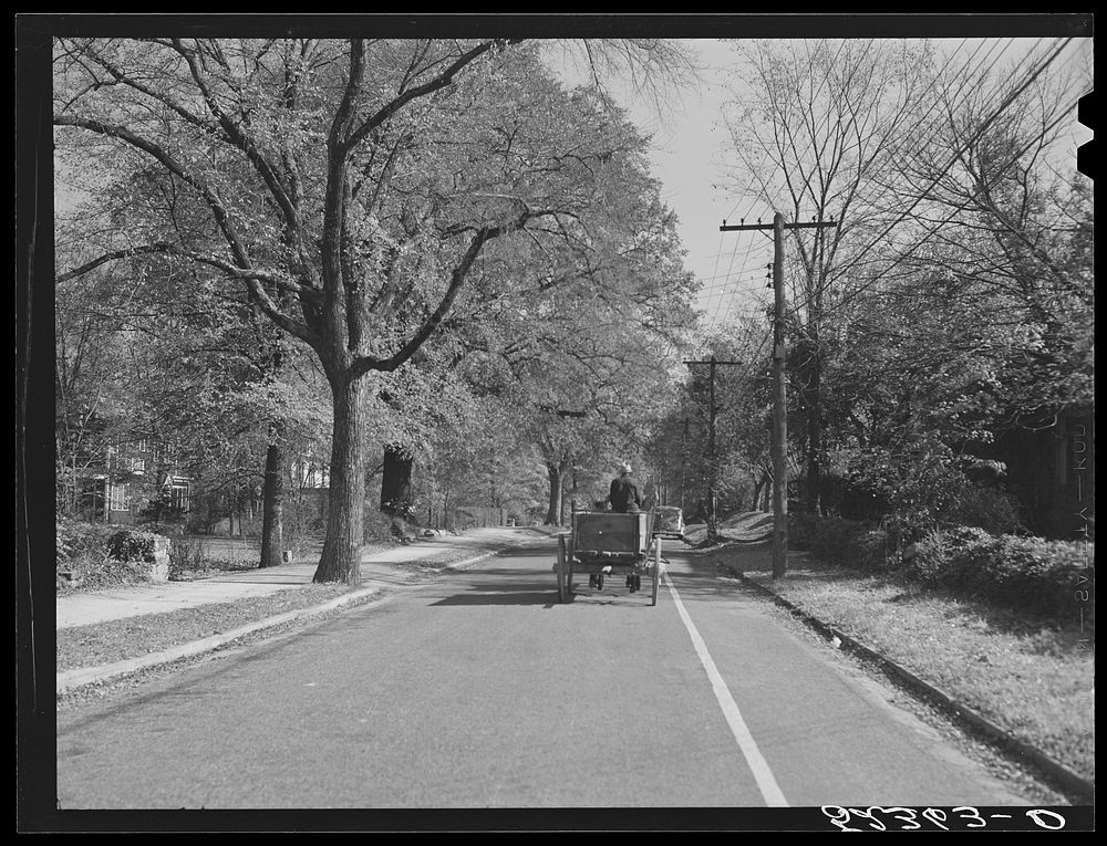 [Untitled photo, possibly related to: Street in Chapel Hill, North Carolina]. Sourced from the Library of Congress.